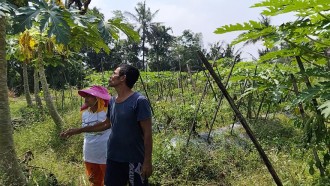 Suami Istri di Magelang Ini Tekuni Petanian Organik