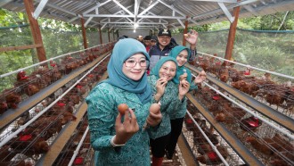 Ketua TP PKK Jateng Tinjau Peternakan Ayam di Kudus